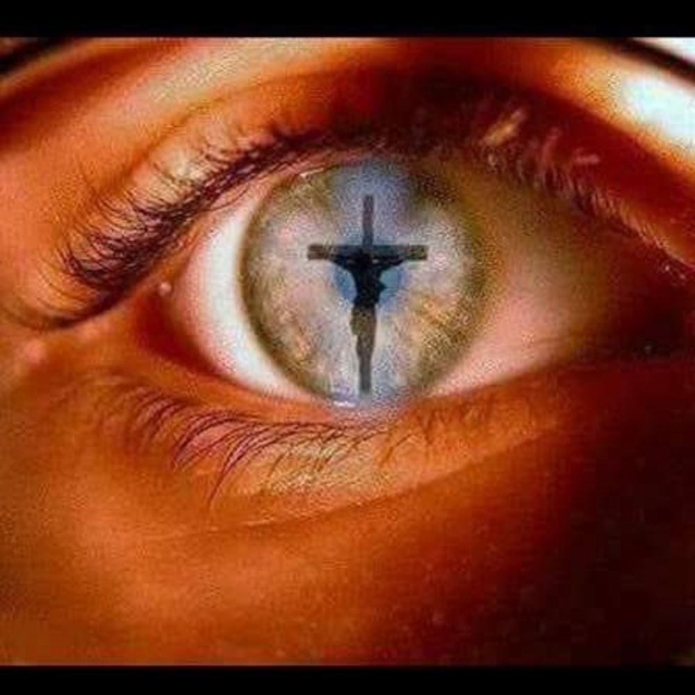 Meet your Posher, Joe